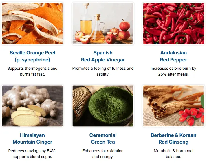 citrusburn-ingredients)